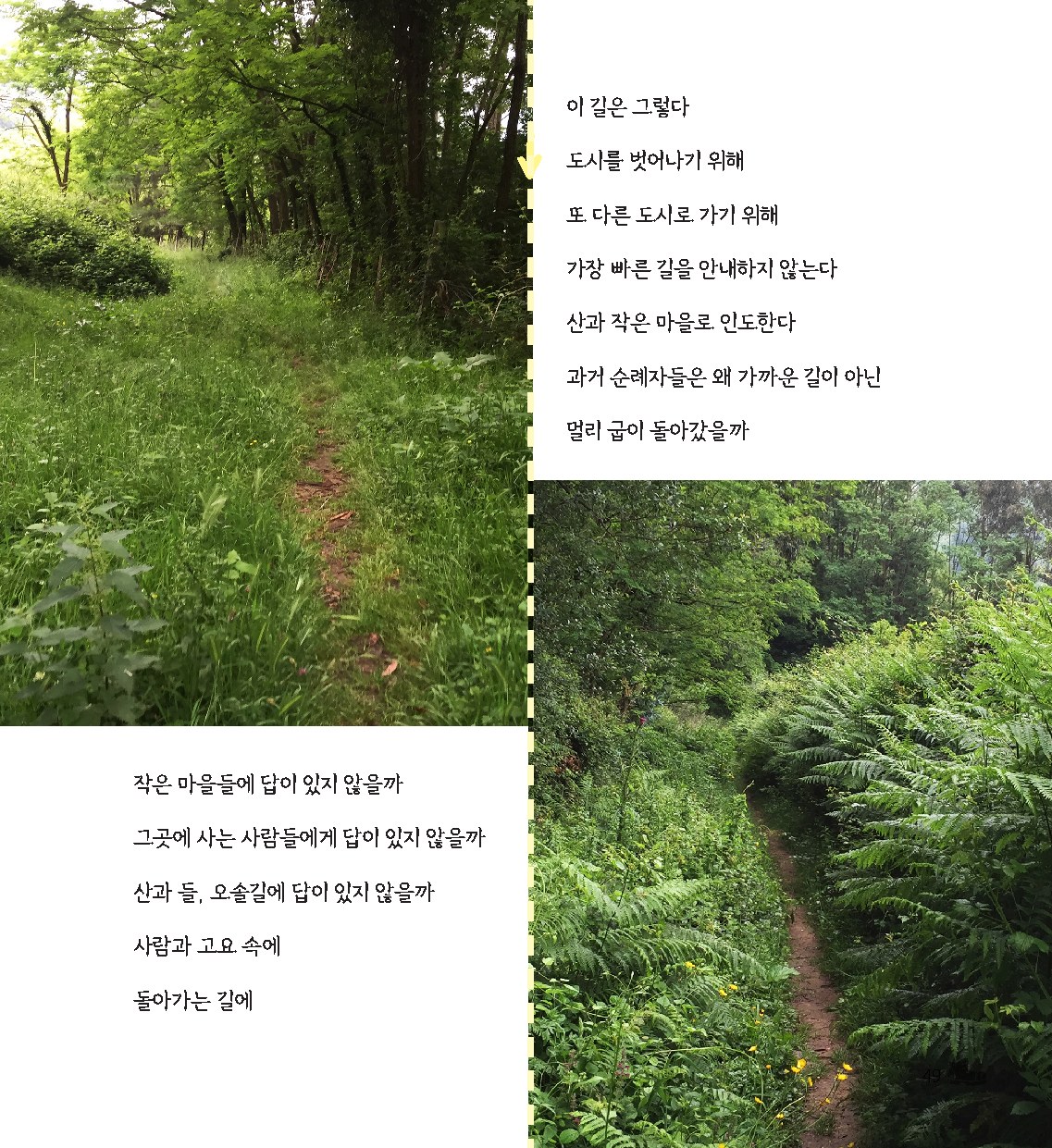 숲길 사진과 글이 함께 배치된 나는 다시 살아야 한다 책 페이지